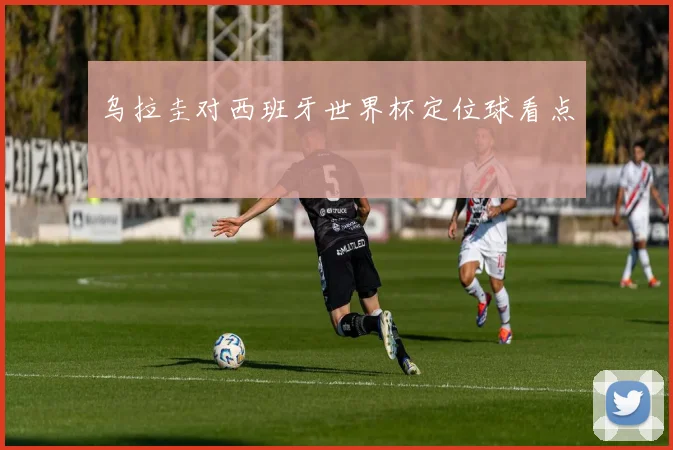 乌拉圭对西班牙世界杯定位球看点