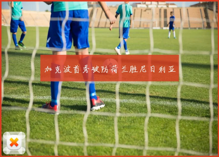 加克波首秀破防荷兰胜尼日利亚
