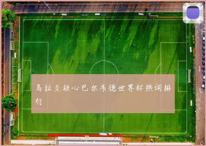 乌拉圭核心巴尔韦德世界杯热词排行