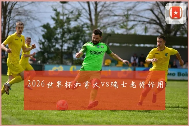 2026世界杯加拿大vs瑞士老将作用