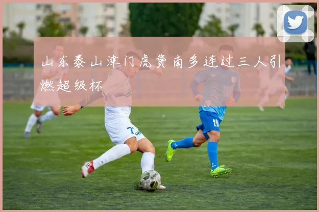 山东泰山津门虎费南多连过三人引燃超级杯