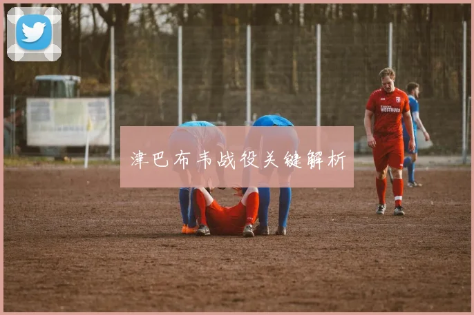 津巴布韦战役关键解析
