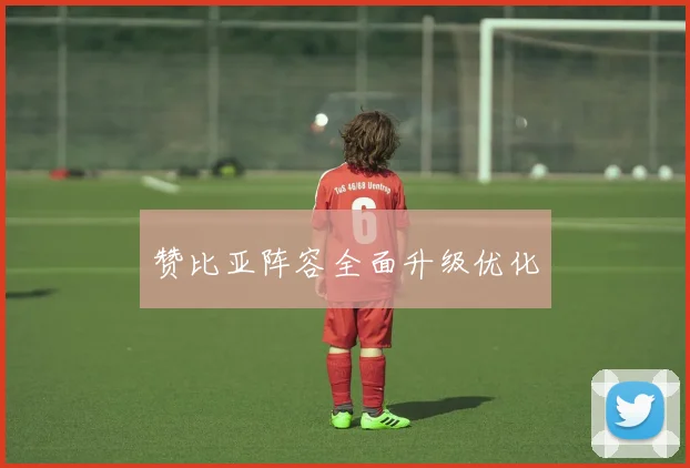 赞比亚阵容全面升级优化