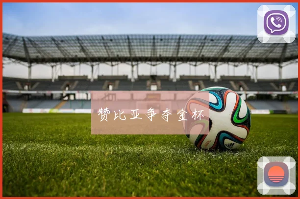 赞比亚争夺金杯