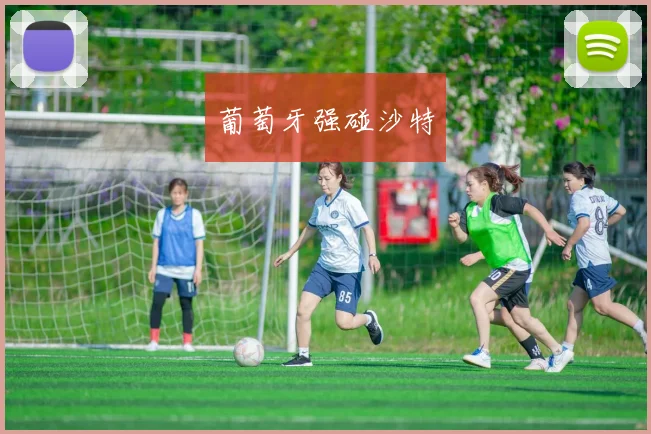 葡萄牙强碰沙特
