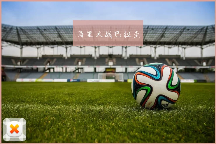 马里大战巴拉圭