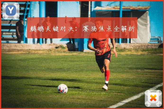 鹈鹕关键对决：赛场焦点全解析