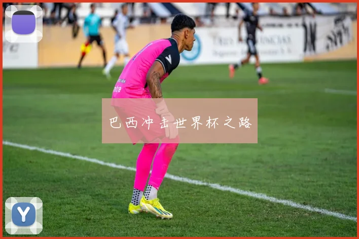 巴西冲击世界杯之路