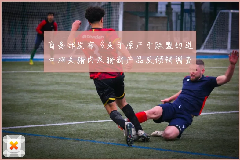 商务部发布《关于原产于欧盟的进口相关猪肉及猪副产品反倾销调查的延期公告》称