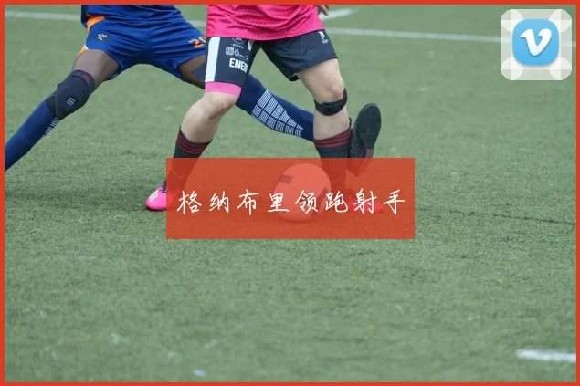 格纳布里领跑射手