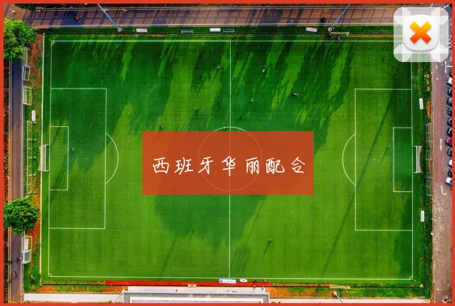 西班牙华丽配合