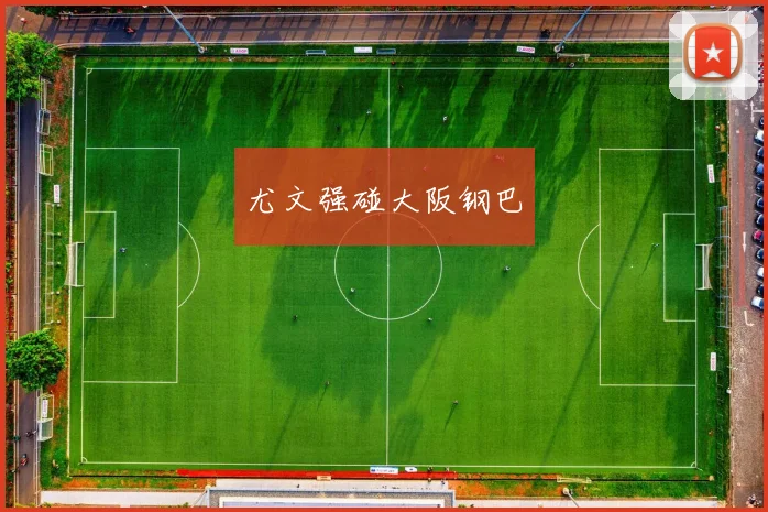 尤文强碰大阪钢巴