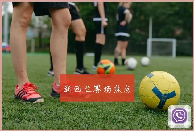 新西兰赛场焦点