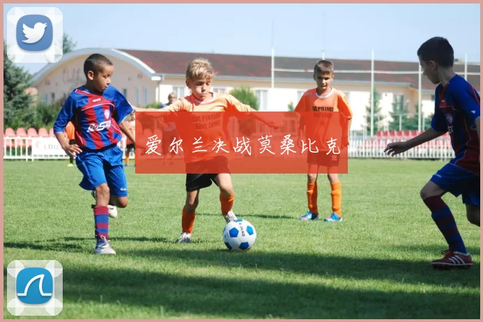 爱尔兰决战莫桑比克