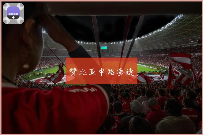 赞比亚中路渗透