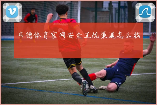 韦德体育官网安全正规渠道怎么找