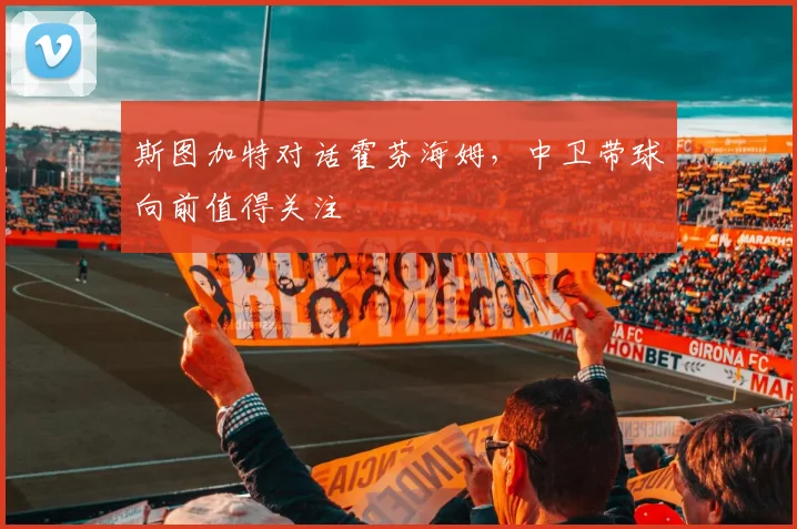 斯图加特对话霍芬海姆,中卫带球向前值得关注